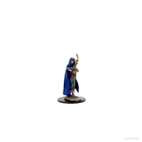 Pathfinder Battles: Premium Painted Figure - Human Rogue Female