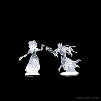 D&D Nolzur’s Marvelous Miniatures: Wraith & Specter
