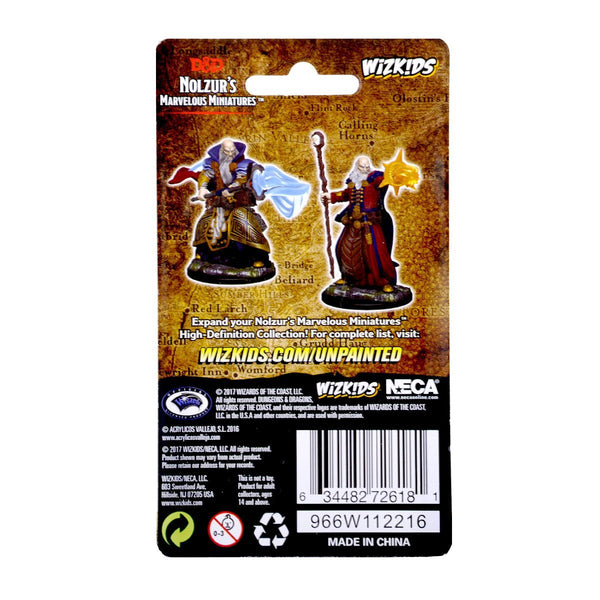 Nolzur's Marvelous Miniatures: Human Male Wizard (72618)