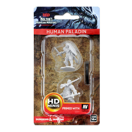 D&D Nolzur’s Marvelous Miniatures: Human Male Paladin - 1