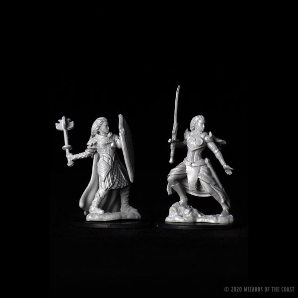 D&D Minis: Nolzur's Marvelous Unpainted Miniatures, W9 Female Elf  Paladin