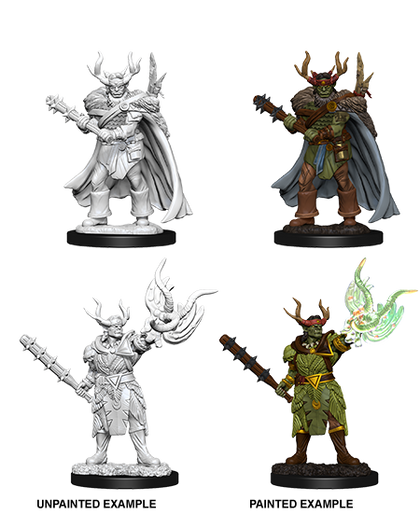 Pathfinder Battles Deep Cuts - Male Half-Orc Druid - 1