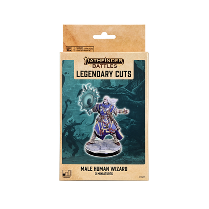 Pathfinder Legendary Cuts: Male Human Wizard - 1
