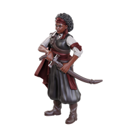 Dungeons & Dragons Nolzur's Marvelous Miniatures: Ansalon Human Rogue