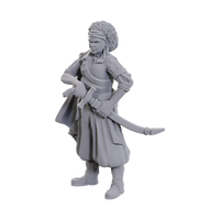 Dungeons & Dragons Nolzur's Marvelous Miniatures: Ansalon Human Rogue