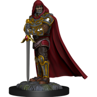 D&D Nolzur's Marvelous Miniatures: Human Paladin Male