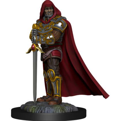 D&D Nolzur's Marvelous Miniatures: Human Paladin Male - 2