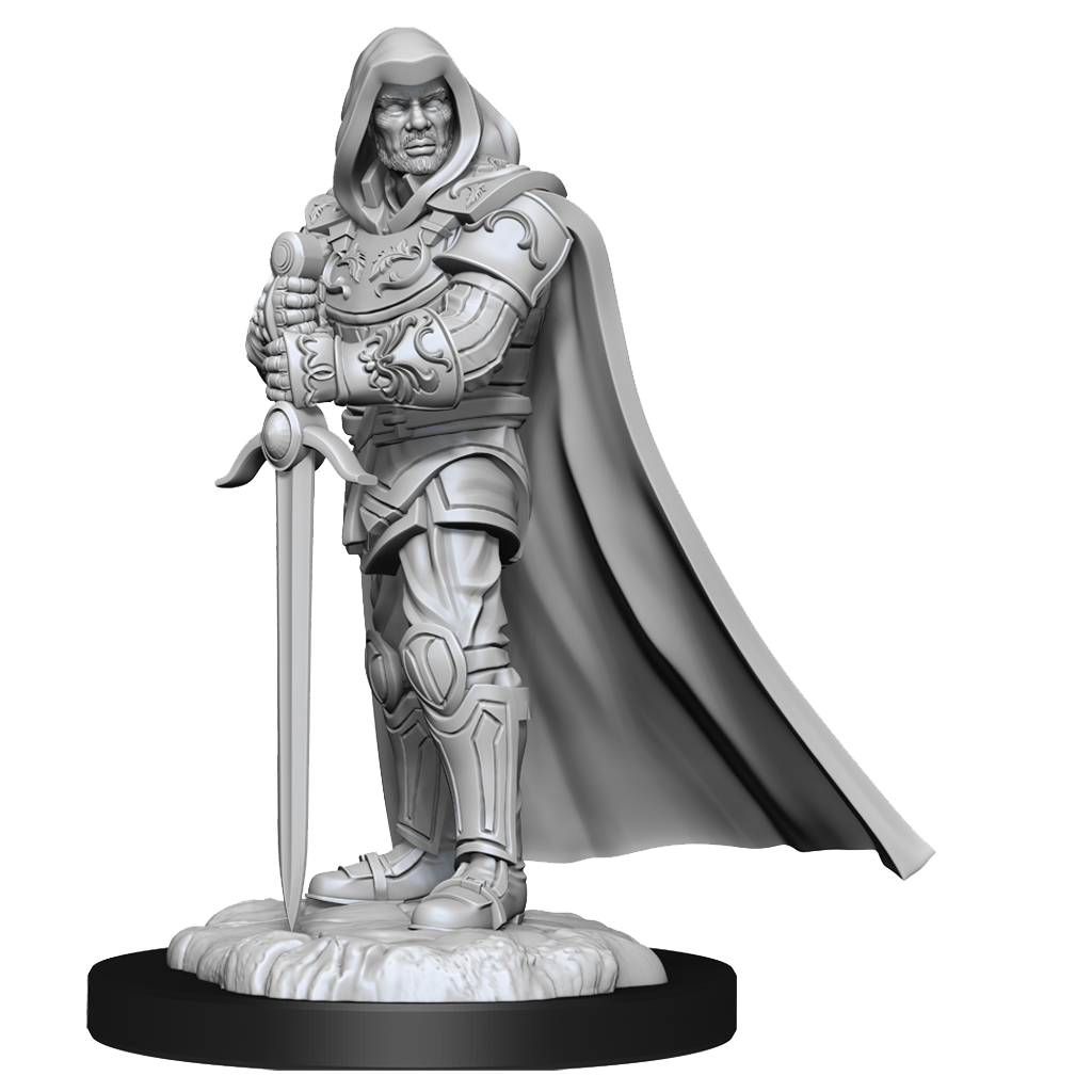 D&D Nolzur's Marvelous Miniatures: Human Paladin Male
