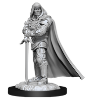 D&D Nolzur's Marvelous Miniatures: Human Paladin Male