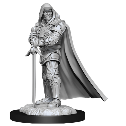 D&D Nolzur's Marvelous Miniatures: Human Paladin Male - 1
