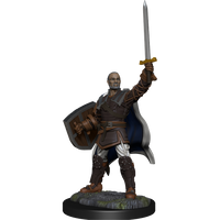 D&D Nolzur's Marvelous Miniatures: Human Paladin Male