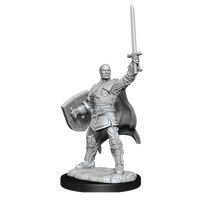 D&D Nolzur's Marvelous Miniatures: Human Paladin Male