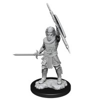 D&D Nolzur's Marvelous Miniatures: Human Fighter Male