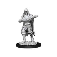 Pathfinder Deep Cuts: Human Rogue Male