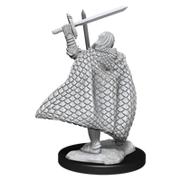 Pathfinder Deep Cuts Unpainted Miniatures: Elf Fighter Male