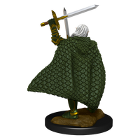Pathfinder Deep Cuts Unpainted Miniatures: Elf Fighter Male