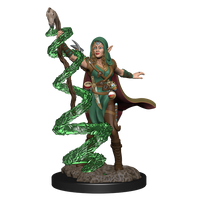 Magic: the Gathering Unpainted Miniatures: Joraga Warcaller & Joraga Treespeaker (Elves)