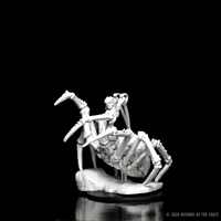 D&D Nolzur's Marvelous Miniatures: Drider