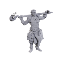 D&D  Nolzur's Marvelous Miniatures: Archdruid & Martial Arts Adept
