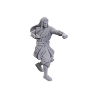 D&D  Nolzur's Marvelous Miniatures: Archdruid & Martial Arts Adept