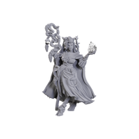 Critical Role Unpainted Miniatures: Fearne Calloway & Mister