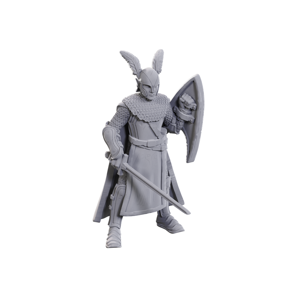 D&D Nolzur's Marvelous Miniatures: Limited Edition 50th Anniversary — Elves