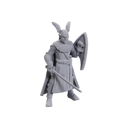 D&D Nolzur's Marvelous Miniatures: Limited Edition 50th Anniversary — Elves - 1