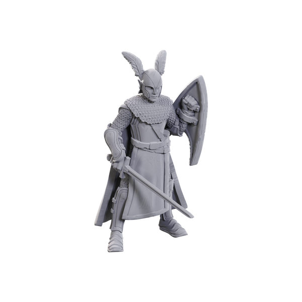 D&D Nolzur's Marvelous Miniatures: Limited Edition 50th