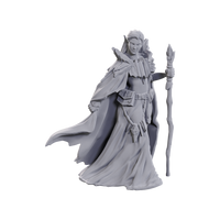 D&D Nolzur's Marvelous Miniatures: Limited Edition 50th Anniversary — Elves