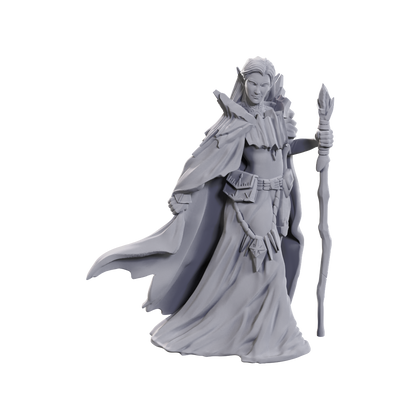 D&D Nolzur's Marvelous Miniatures: Limited Edition 50th Anniversary — Elves - 2