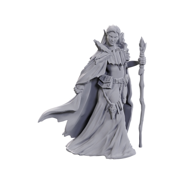 D&D Nolzur's Marvelous Miniatures: Limited Edition 50th