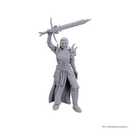 D&D Nolzur's Marvelous Miniatures: Blackguard - 1