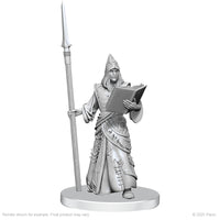 PRE-ORDER - Pathfinder Battles Deep Cuts: Vloriak (Despoiler Demon) & Demonologist