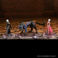 D&D The Legend of Drizzt 35th Anniversary - Family & Foes Boxed Set