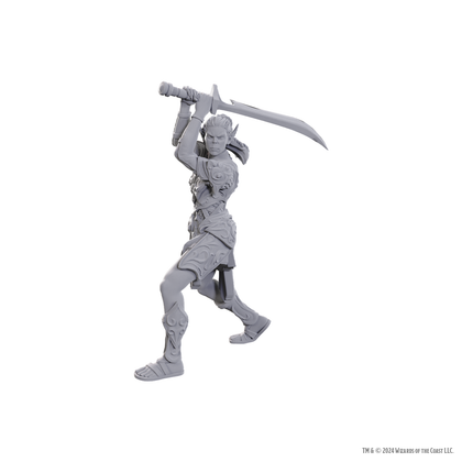 D&D Nolzur's Marvelous Miniatures: Special Edition Baldur's Gate 3 — Lae'zel & Shadowheart - 1