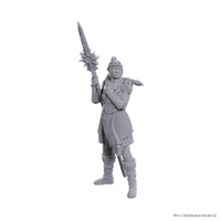 D&D Nolzur's Marvelous Miniatures: Special Edition Baldur's Gate 3 — Lae'zel & Shadowheart