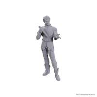 D&D Nolzur's Marvelous Miniatures: Special Edition Baldur's Gate 3 — Gale & Astarion