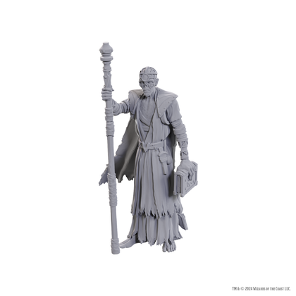 D&D Nolzur's Marvelous Miniatures: Special Edition Baldur's Gate 3 — Volo & Withers - 2