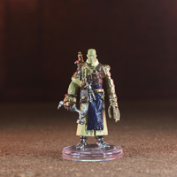 Pathfinder Battles: Iconic Heroes XI Boxed Set