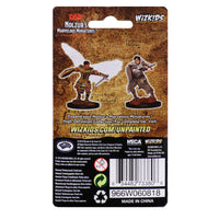 D&D Nolzur's: Aasimar Fighter
