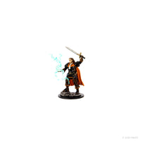 Pathfinder Battles: Premium Painted Figure - Human Cleric Male