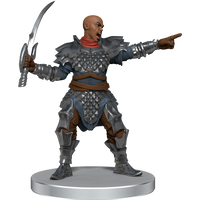 D&D Icons of the Realms: Dragon Army Warband