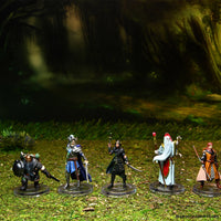 Dungeons & Dragons The Wild Beyond the Witchlight - Valor's Call Starter Set
