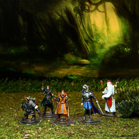 Dungeons & Dragons The Wild Beyond the Witchlight - Valor's Call Starter Set