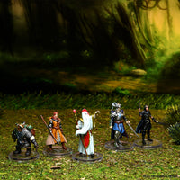 Dungeons & Dragons The Wild Beyond the Witchlight - Valor's Call Starter Set