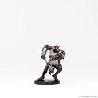 D&D Icons of the Realms: Monster Pack: Cave Defenders