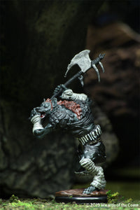 D&D Icons of the Realms: Monster Pack: Village Raiders