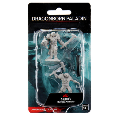 D&D Nolzur's Marvelous Miniatures - Male Dragonborn Paladin - 1