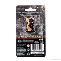 D&D Icons of the Realms: Premium Painted Figure - Dragonborn Sorcerer Female