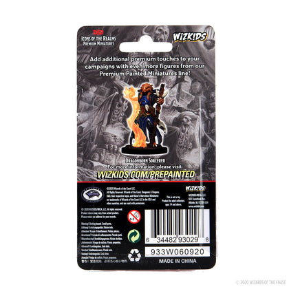 D&D Icons of the Realms: Premium Painted Figure - Dragonborn Sorcerer Female - 2